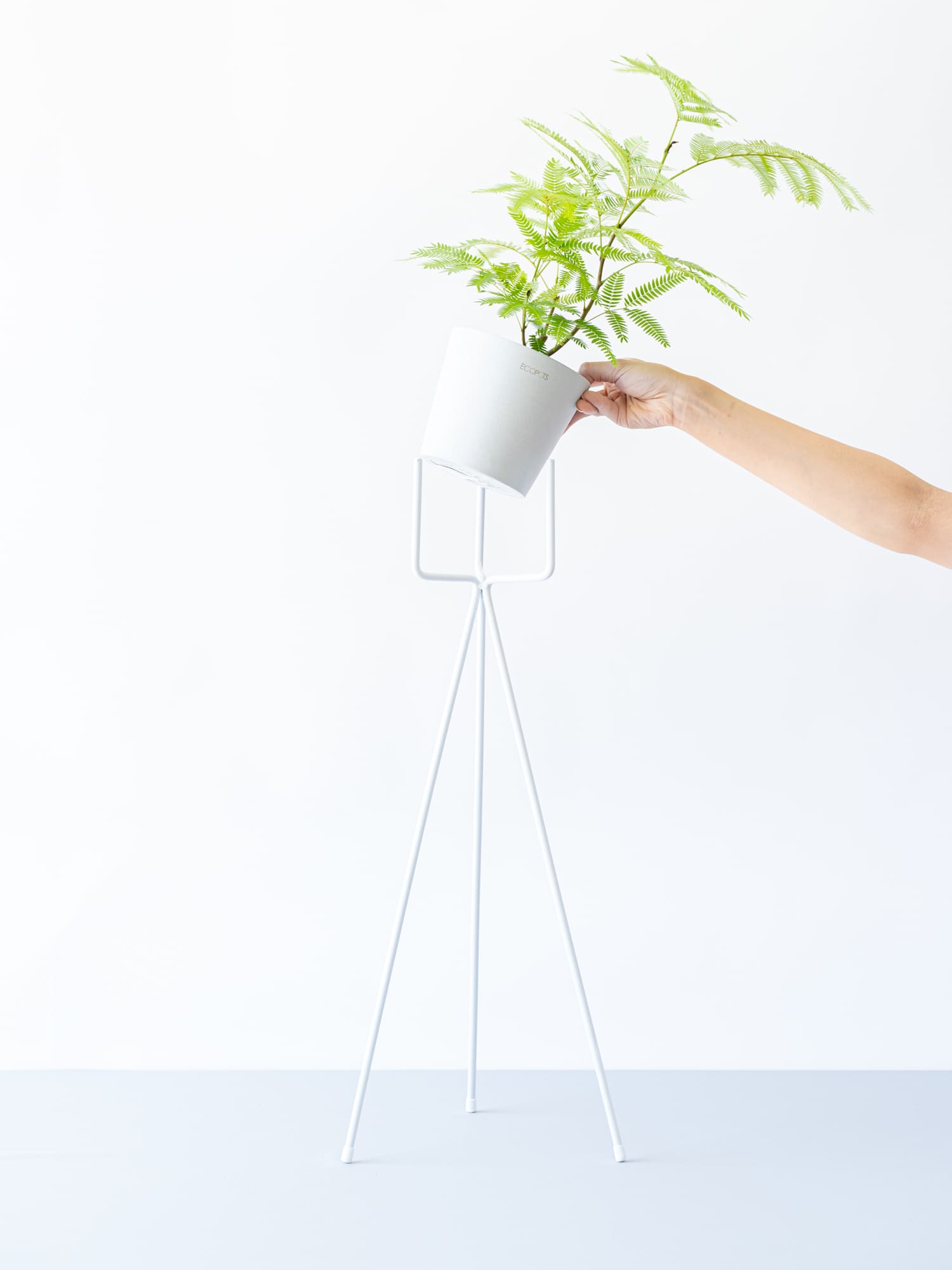 アイアンスタンド・Long - White | 観葉植物・お花の通販 AND PLANTS