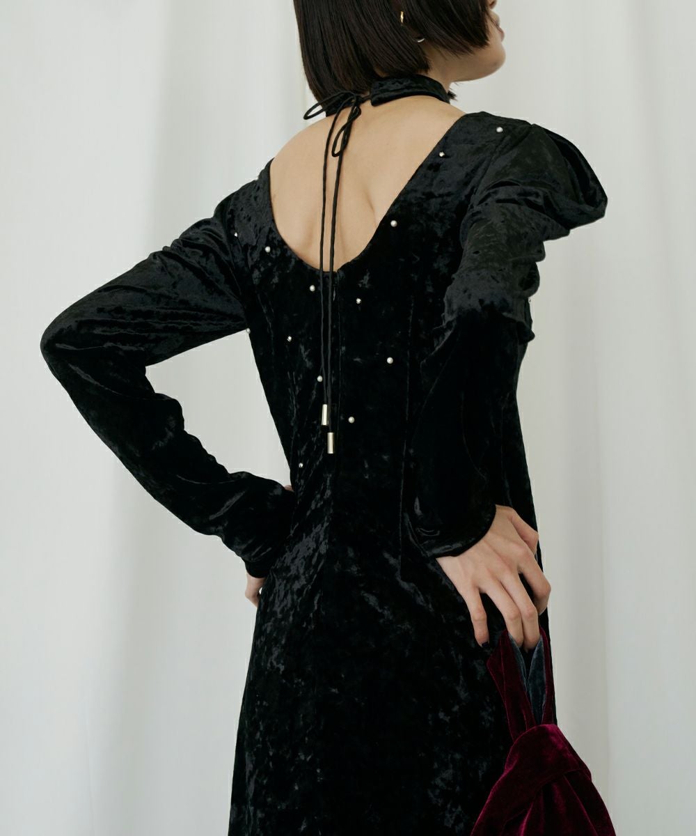 pearl glow velour dress | ANDRESD