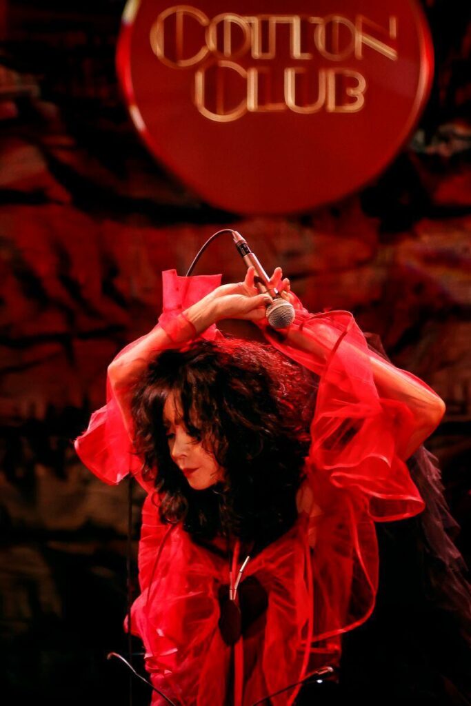 中森明菜 FANCLUB LIVE「ALDEA Bar at Tokyo 2024」発売決定！ | AKINA