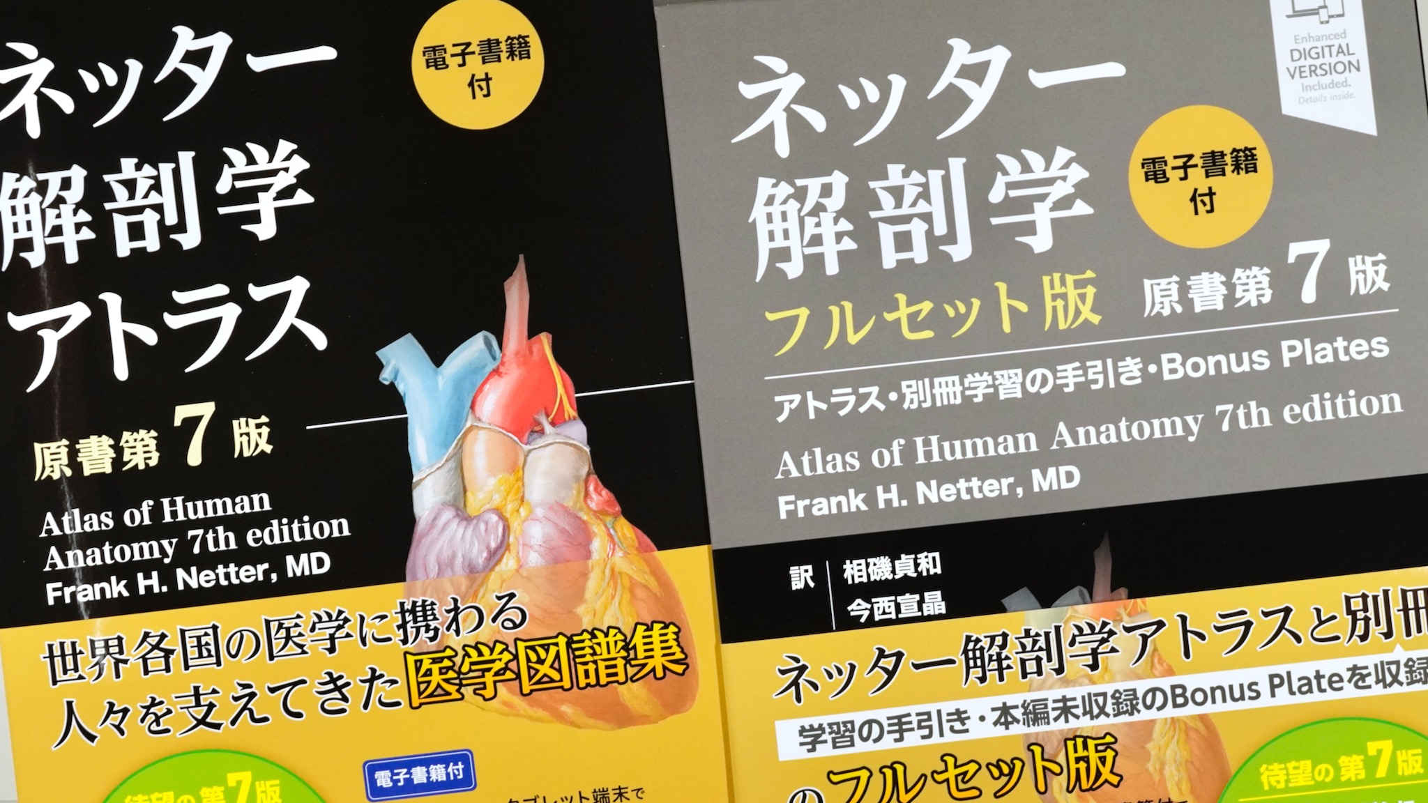 ネッター解剖学アトラスと病気がみえるシリーズ 生物・解剖・医学書籍