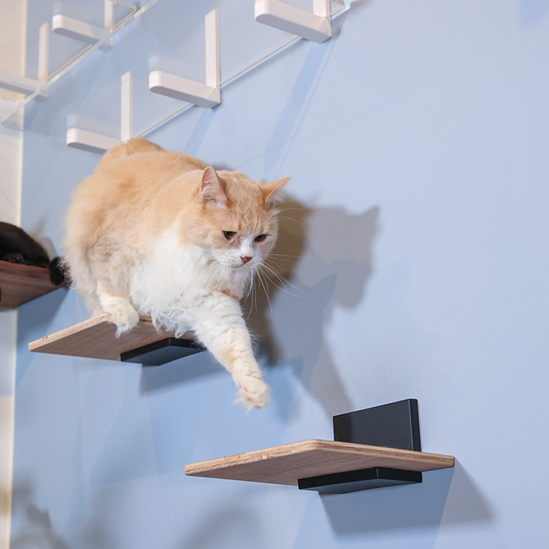 キャットトンネル animacolle キャットウォーク キャットステップ