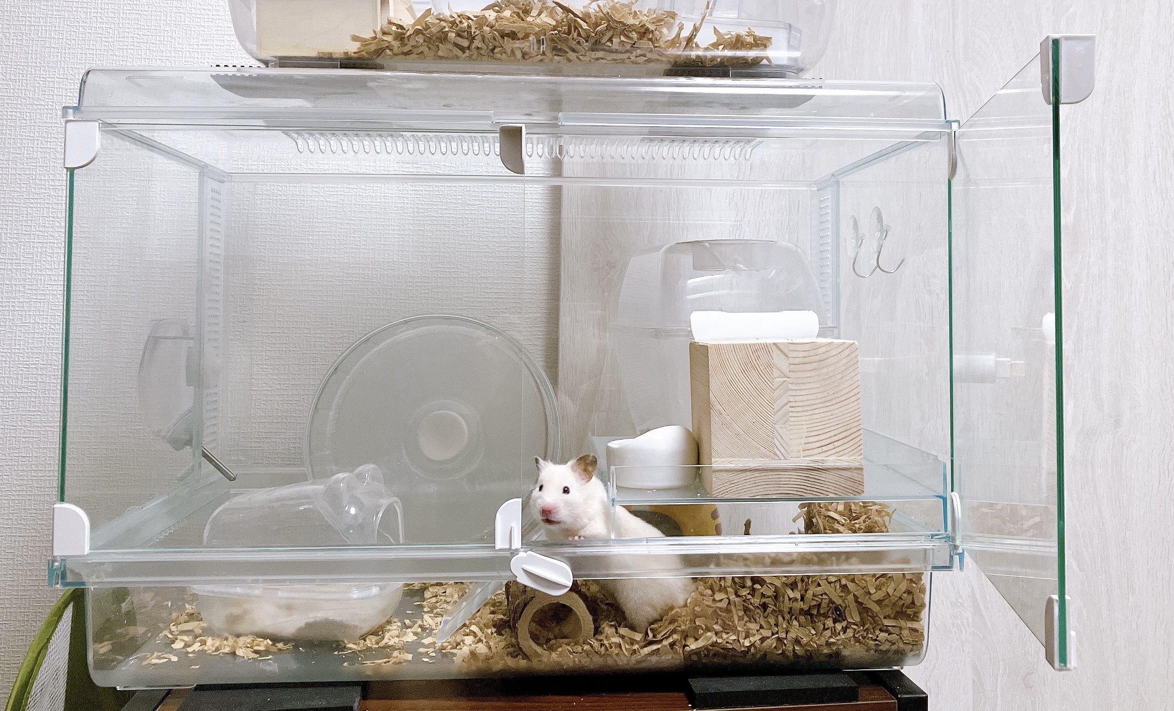 ☆グラスハーモニーマルチ600＆飼育セット☆ゴールデンハムスターに