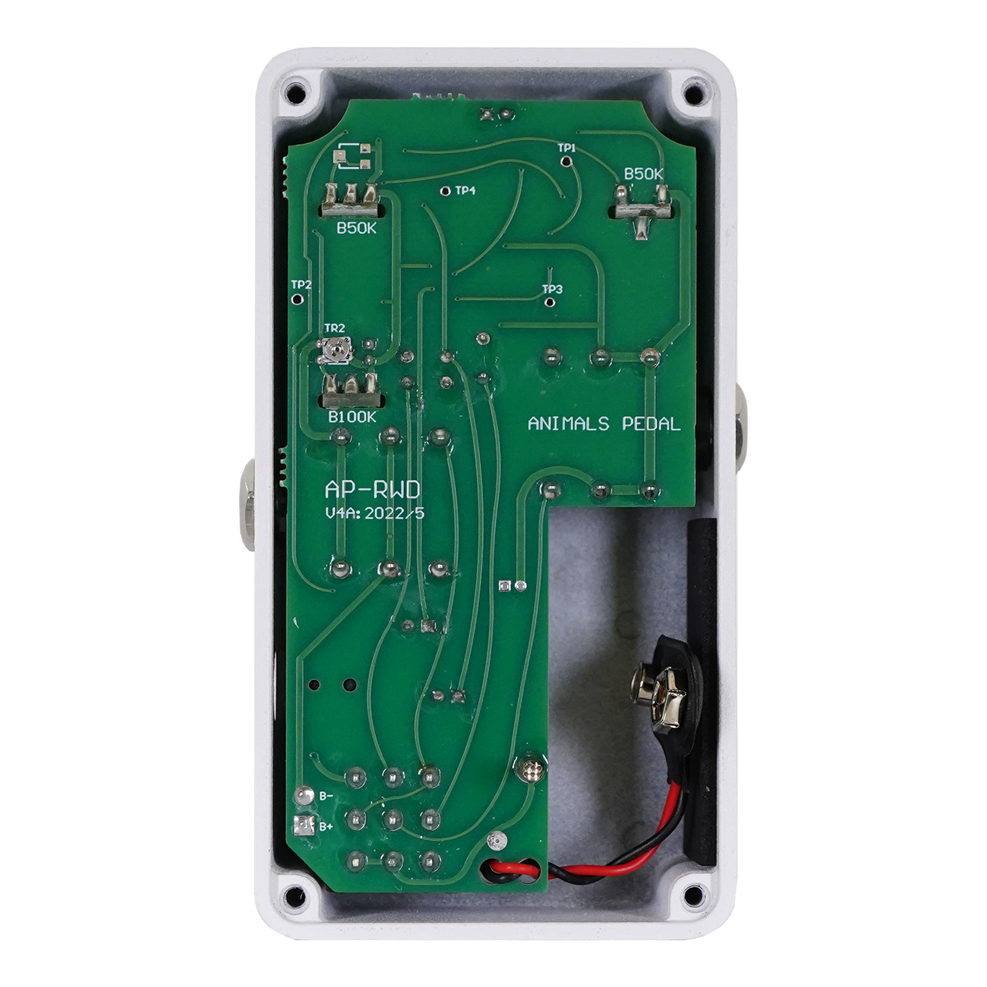 Custom Illustrated / RWD yung kai #03 wildflower – Animals Pedal USA