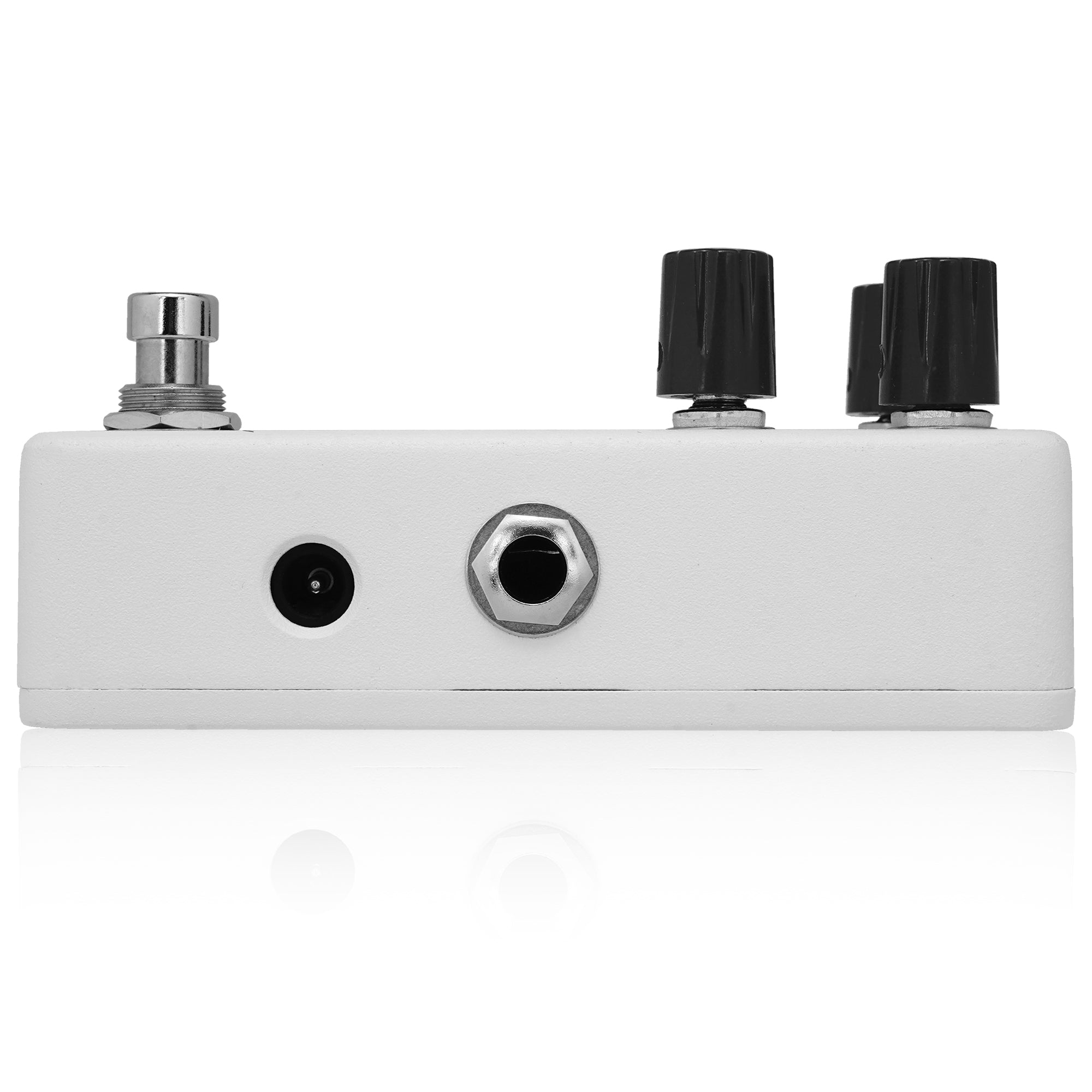 Animals Pedal RELAXING WALRUS DELAY – Animals Pedal USA