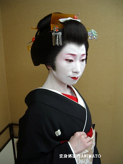 5月の舞妓さんの花かんざし｜藤・菖蒲 | 変身処案内ANIMATO