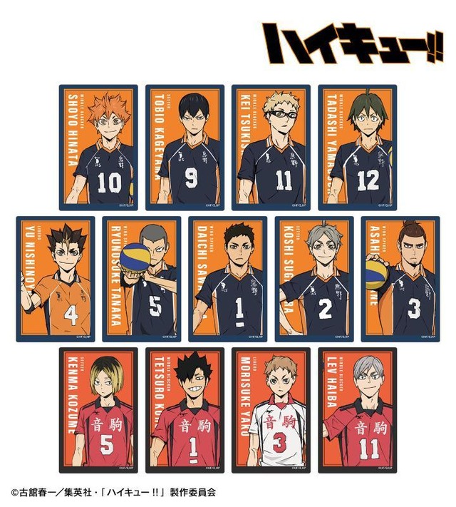 ハイキュー クリアファイル 横断幕 千葉崇洋描き下ろし 音駒 烏野 青葉