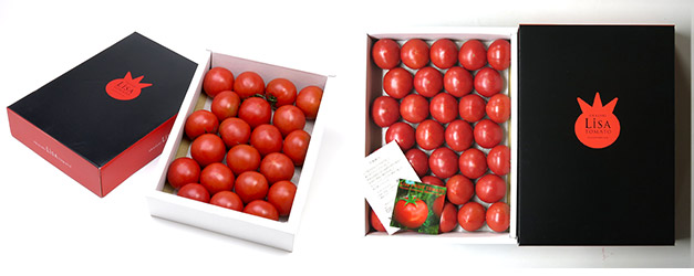 トマトさま専用 トマト様 ☆とまと☆ トマトさま専用 トマトー Model