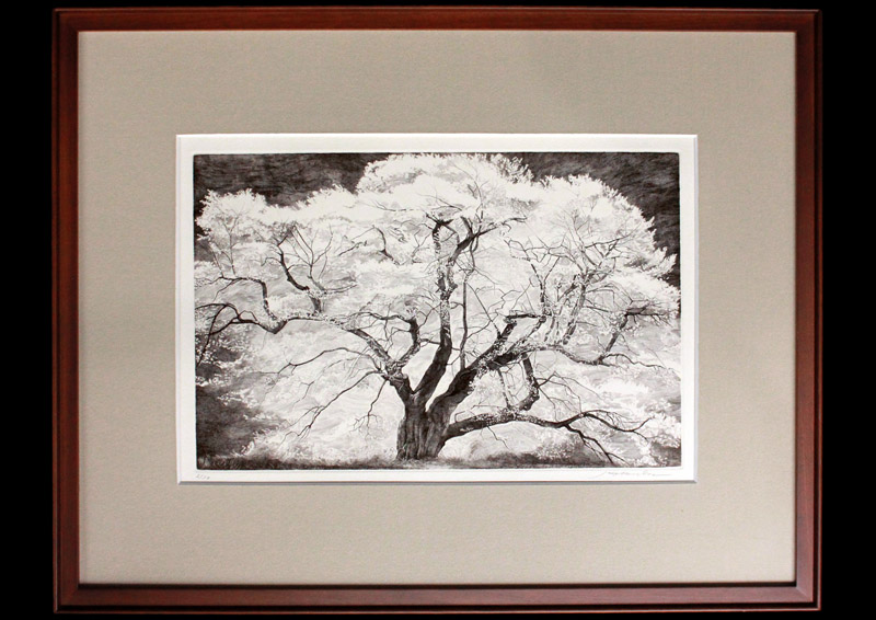 アンティーク 絵 絵画 （I） 古い絵画 Zx Paintings for Sale - Fine