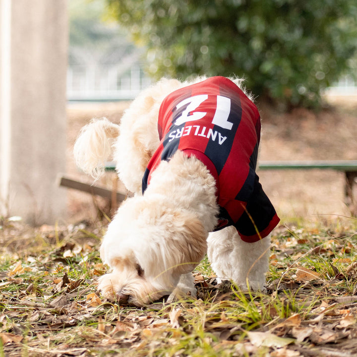 26オリジナルネームドッグユニフォーム【受注】 – 鹿島アントラーズFC