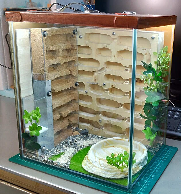 アリ飼育ケース 石膏巣 アリの巣観察 5種のアリに軽石巣