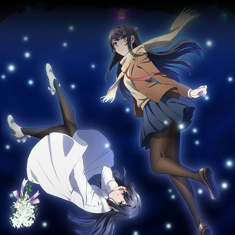 絶版】青春ブタ野郎はゆめみる少女の夢を見ない B3 サイズ クリア