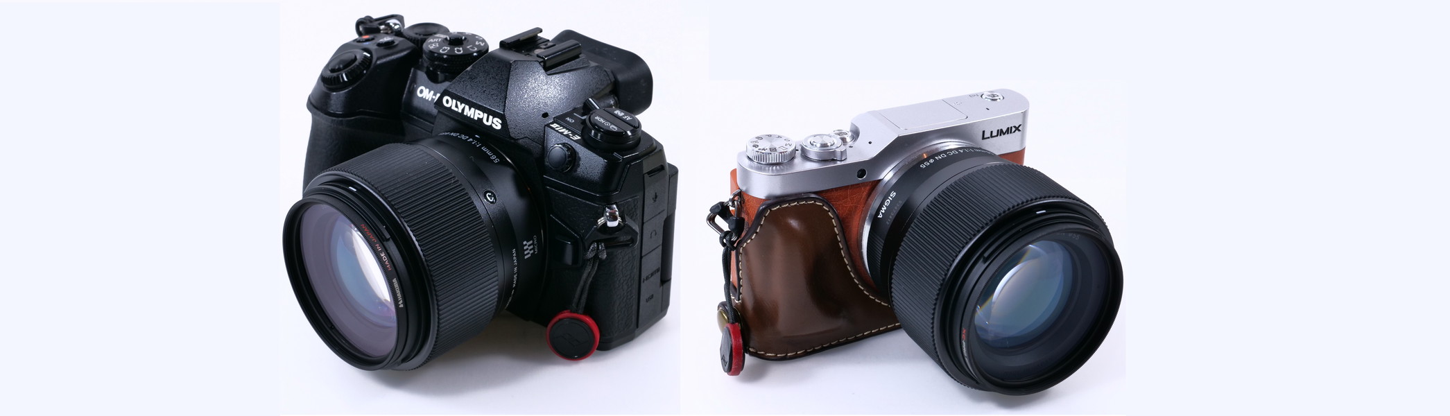 シグマ 56mm F1.4 DC DN マイクロフォーサーズ 徹底レビュー - とる