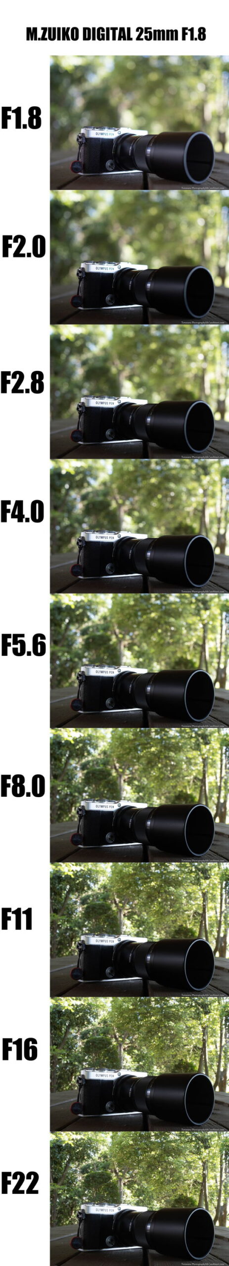 OMDS「M.ZUIKO DIGITAL 25mm F1.8」レンズレビュー ボケ編 - とるなら