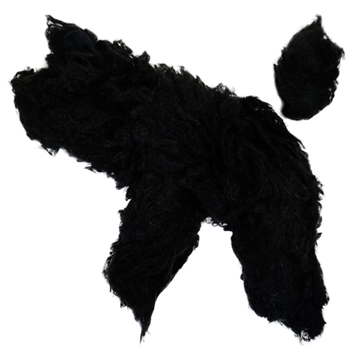 TOP LINE】トップライン 3in1プードルプラスチックモデル（全身モデル