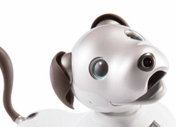 ASCII.jp：ソニー犬型ロボット「aibo」発表