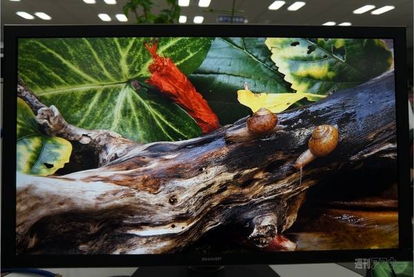強烈な画質 IGZO液晶ディスプレー『PN-K321』が編集部に来た - 週刊