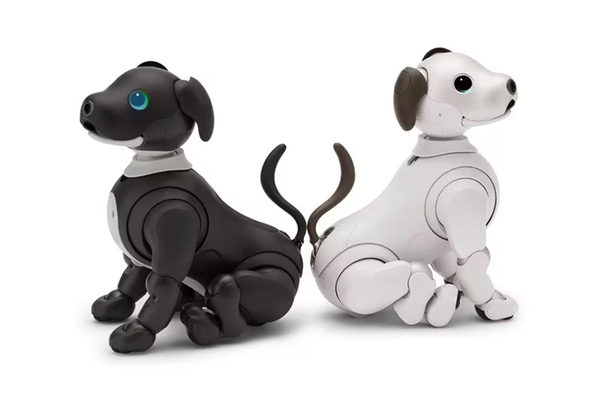 ASCII.jp： ソニー、「aibo（アイボ）」2023年カラーモデル「aibo