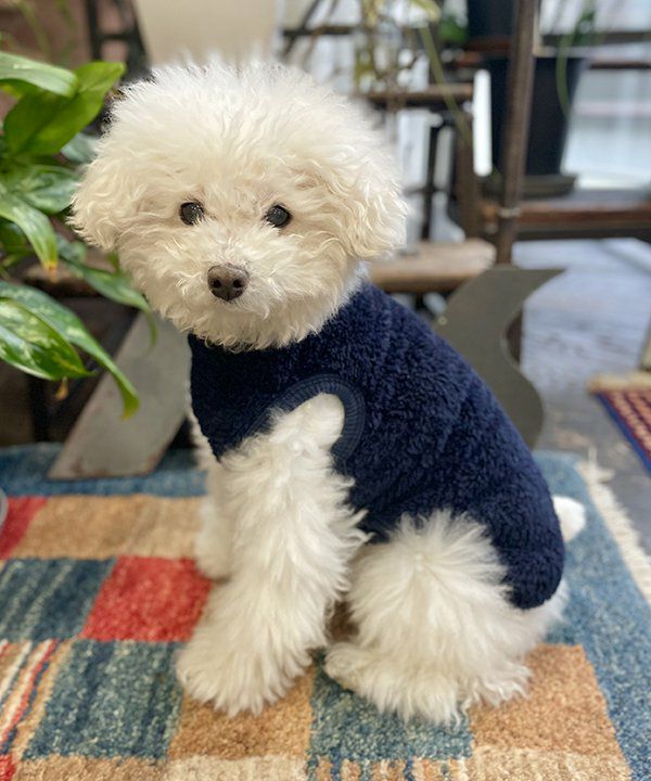 Nルームウェアセット | AS KNOW AS オンラインショップ