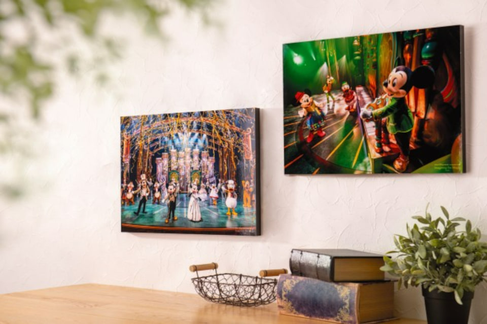 レア ディズニー イマジニングザマジック アート パネル 魚眼レンズ