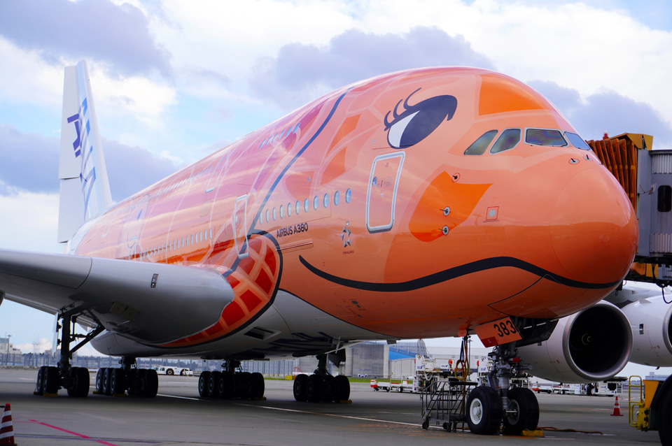 1/500=約15cm 3/7 new!! ANAフライングホヌ✕3 1/500=約15cm 3/7 new