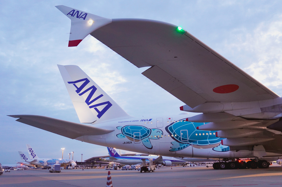 フライングホヌ3機セット&マット3つ 成田に3機揃った！ ANA