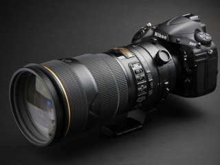 交換レンズ実写ギャラリー：ニコンAF-S NIKKOR 300mm F2.8 G ED VR II