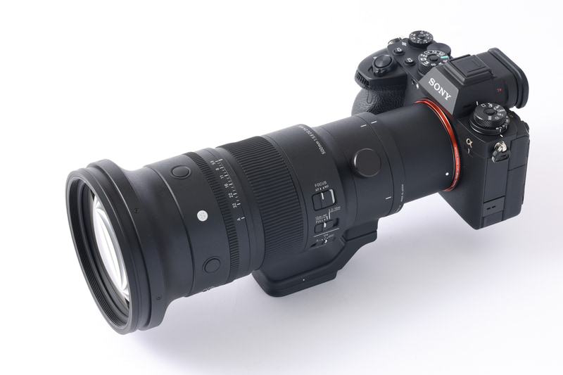 交換レンズレビュー：SIGMA 500mm F5.6 DG DN OS | Sports - デジカメ