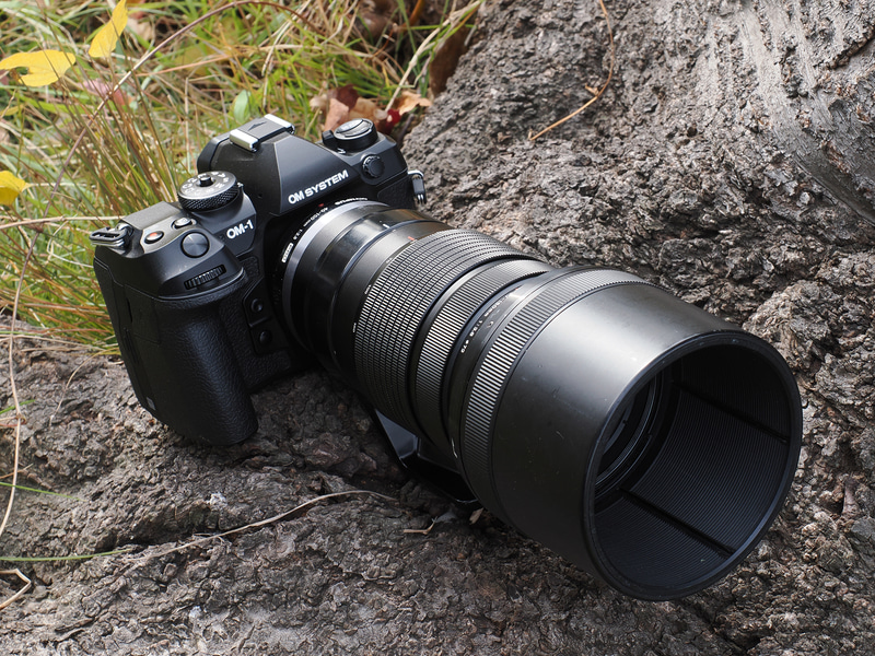 私はこれを買いました！：コンパクトなボディに息づく、変わらぬ信頼感