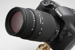 交換レンズ実写ギャラリー：シグマ「70-300mm F4-5.6 DG OS