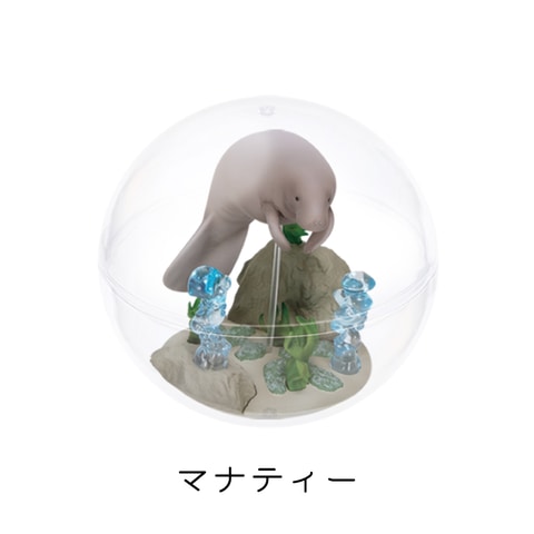 沖縄美ら海水族館とのコラボ「カプリウムコレクション」が11月21日登場