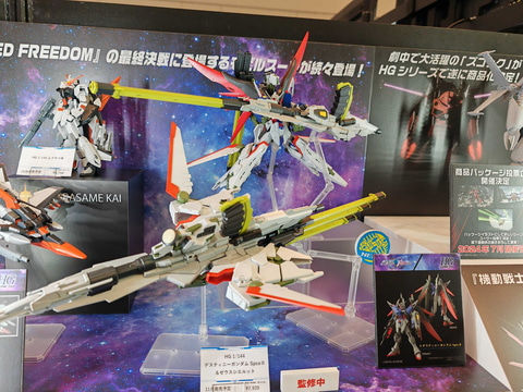 ルッチ HG デスティニーガンダムspecⅡ & ゼウスシルエット 塗装済 HG