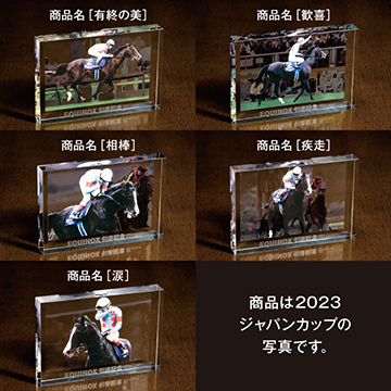 イクイノックス 引退記念写真デザインパネル シリアルナンバー入り 200