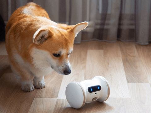 ペットが飽きずに遊べ、おやつもあげられるスマホ連携ロボット - 家電