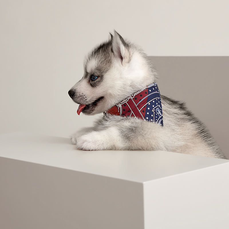 犬用バンダナ 《エプロン・ドール》 XS | Hermès - エルメス-公式サイト