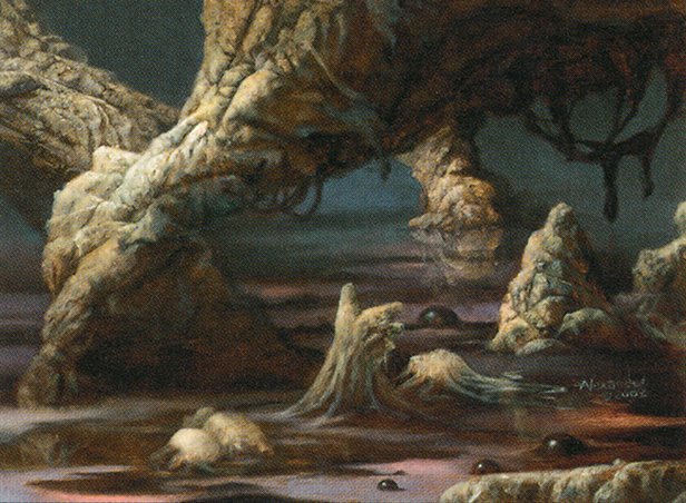 WorldChampionshipDecks2003⭐︎WolfgangEder Magic Worlds 2003 World