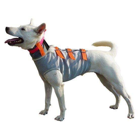 猟犬用耐切創ドッグベスト スペクトラベスト Spectra Vest 【強化版