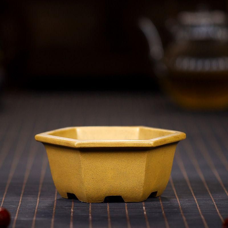 ルンバ君盆栽 盆栽鉢 植木鉢 中国鉢 ルンバ君盆栽 盆栽鉢 植木鉢 中国