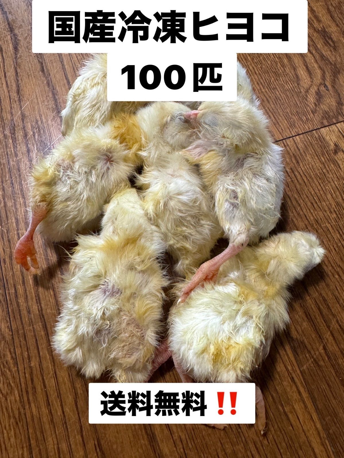 冷凍ひよこ 300匹