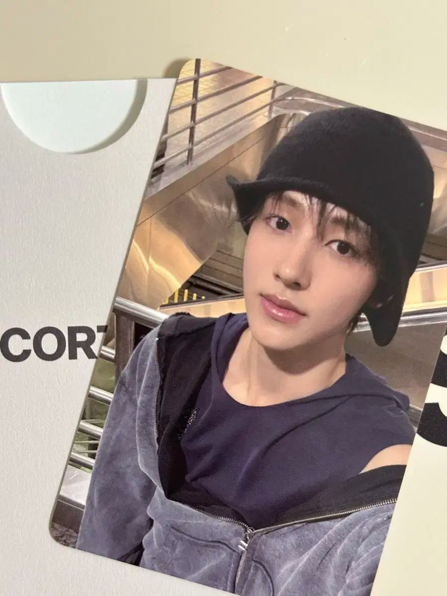 CORTIS コルティス ショーケース リリパ トレカ コンプセット CORTIS