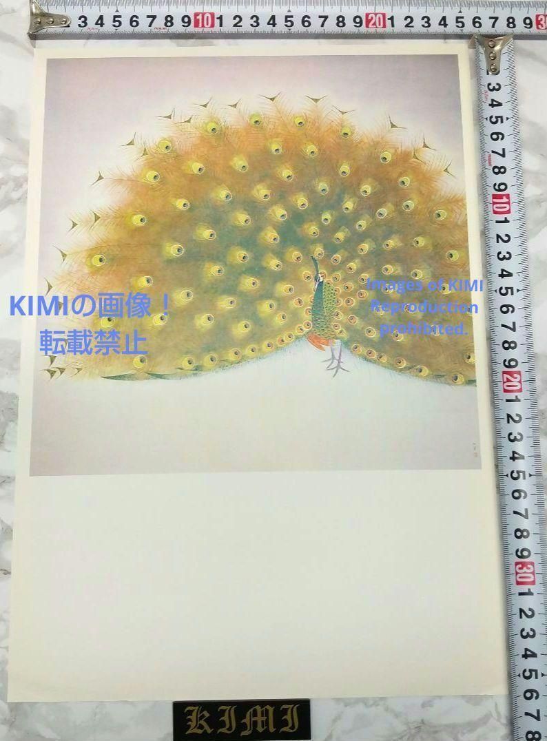 ポスター 孔雀 上村松篁 くじゃく うえむら しょうこう Poster Peacock