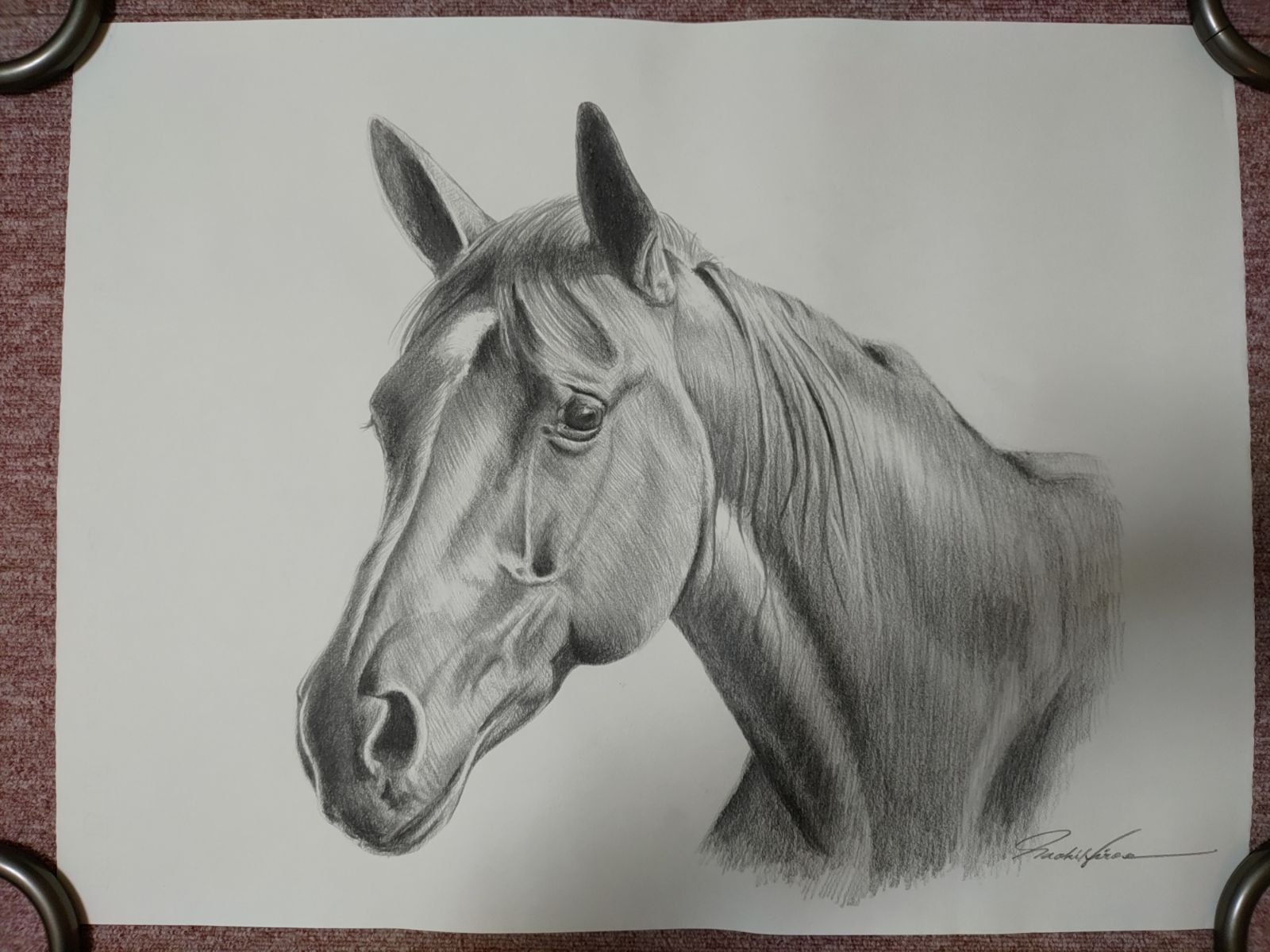 鉛筆画 馬の絵 鉛筆画 馬の絵