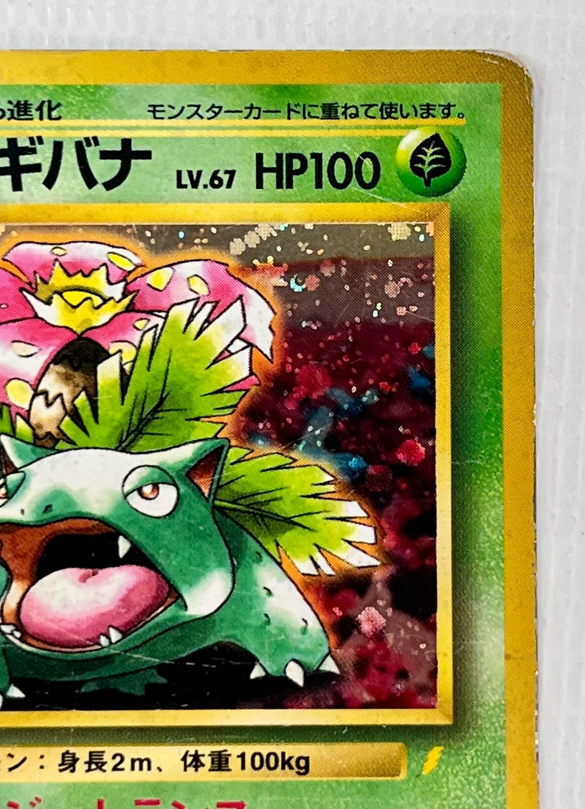 フシギバナ LV.67(とりかえっこプリーズ！) ☆ [旧裏面] No.003 傷有り