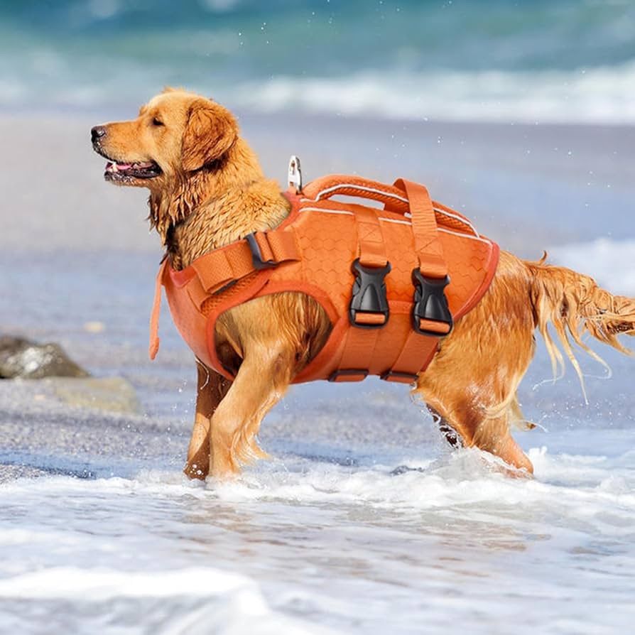 種類8：ネオンオレンジ/Sサイズ 【Truelove】犬 ライフジャケット