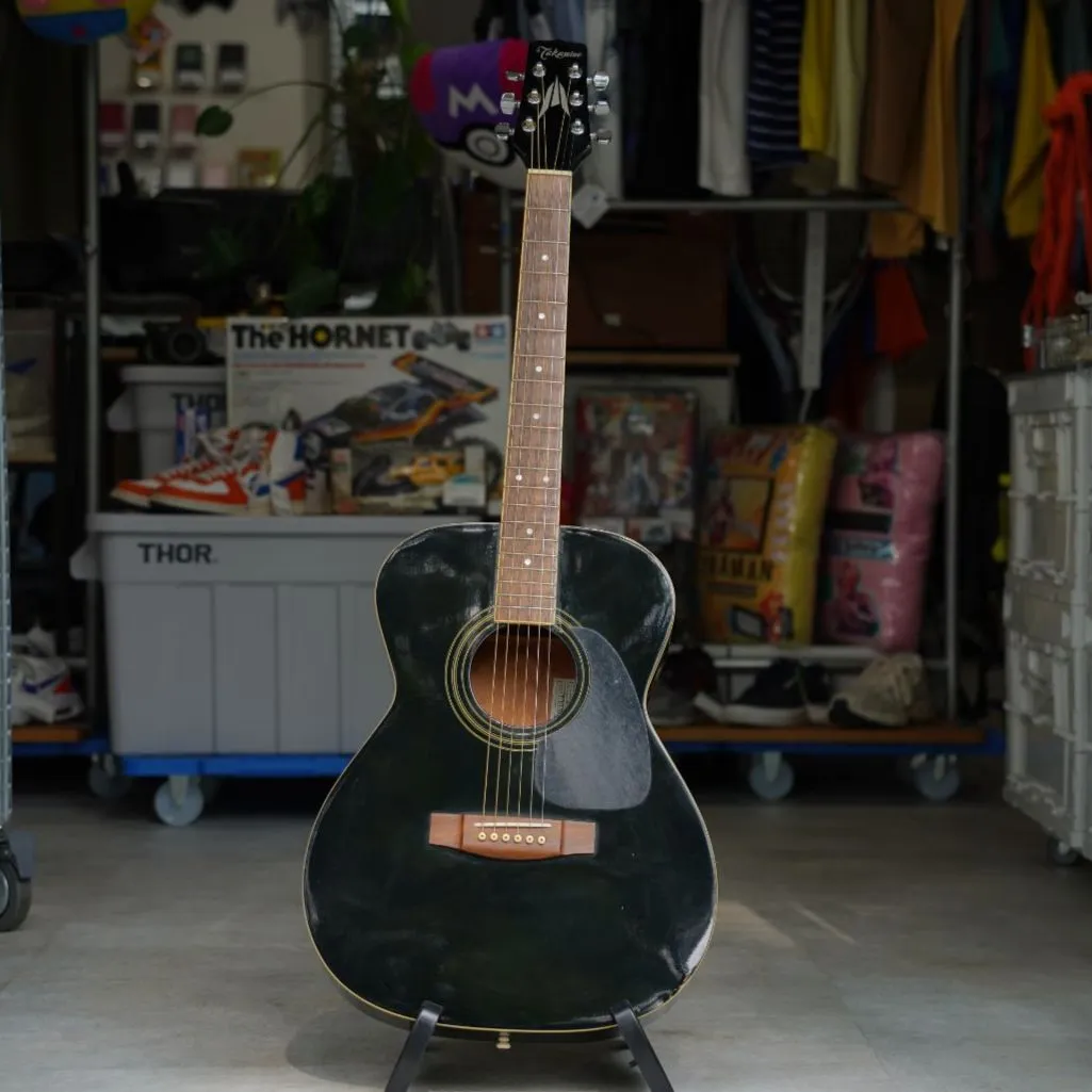 Takamine T-F1/N アコースティックギター 弦は新品に交換済み