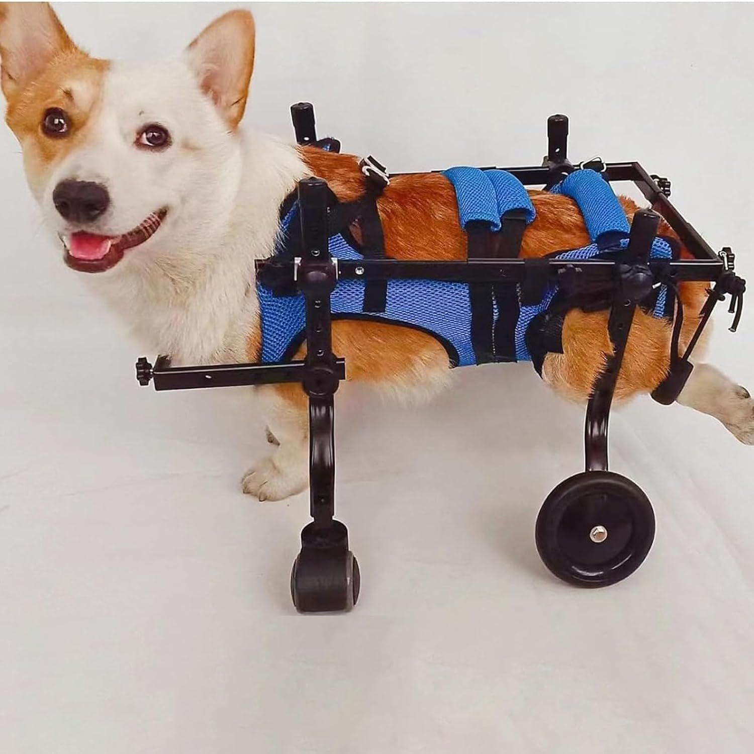 柴犬4輪 リハビリ 食事補助 犬用車椅子 介護用 犬の歩行器 ワン