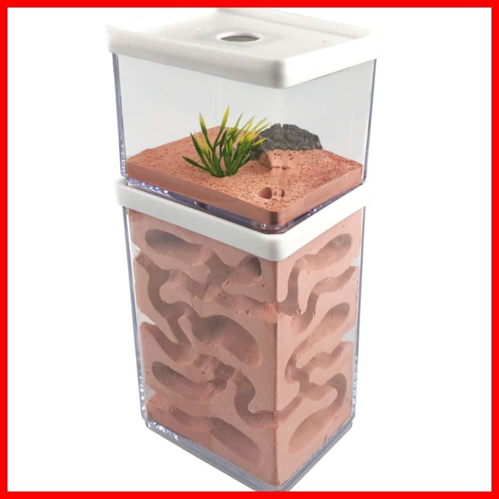 Hybrid Nest 2 side large ・ガラスアリ飼育ケース Hybrid Nest 2 side