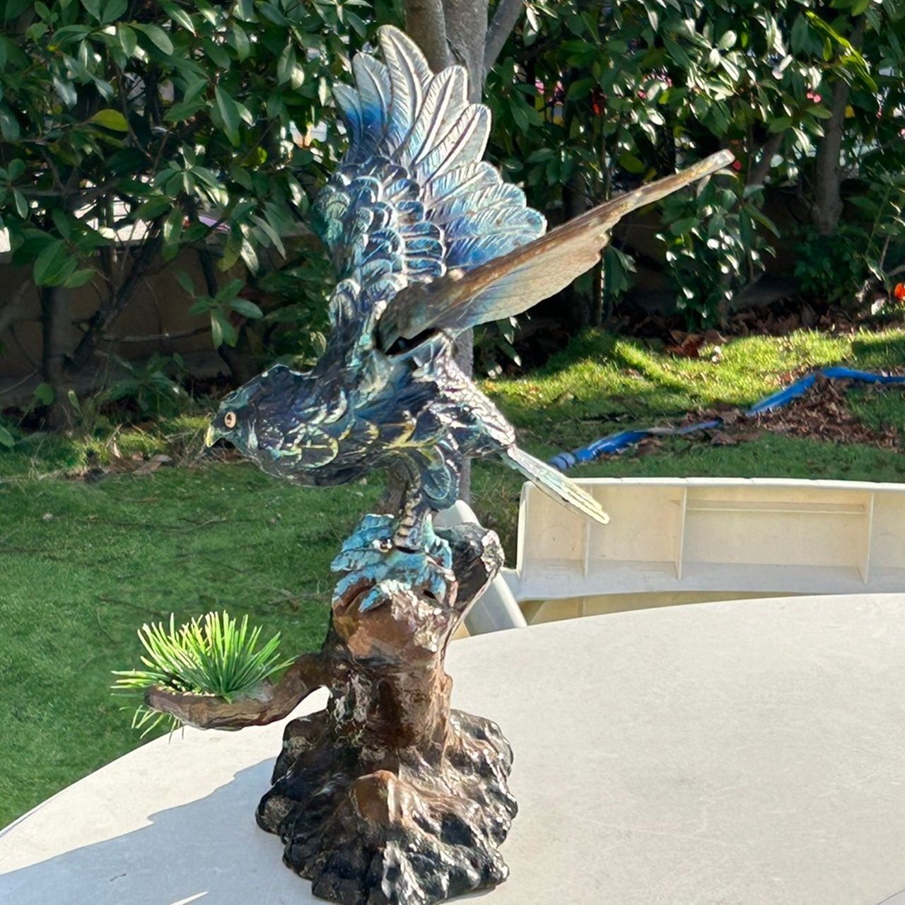 鷲 鷹 オブジェ アンティーク 置物 Amazon.co.jp: 猛禽類最強 鷲 ワシ