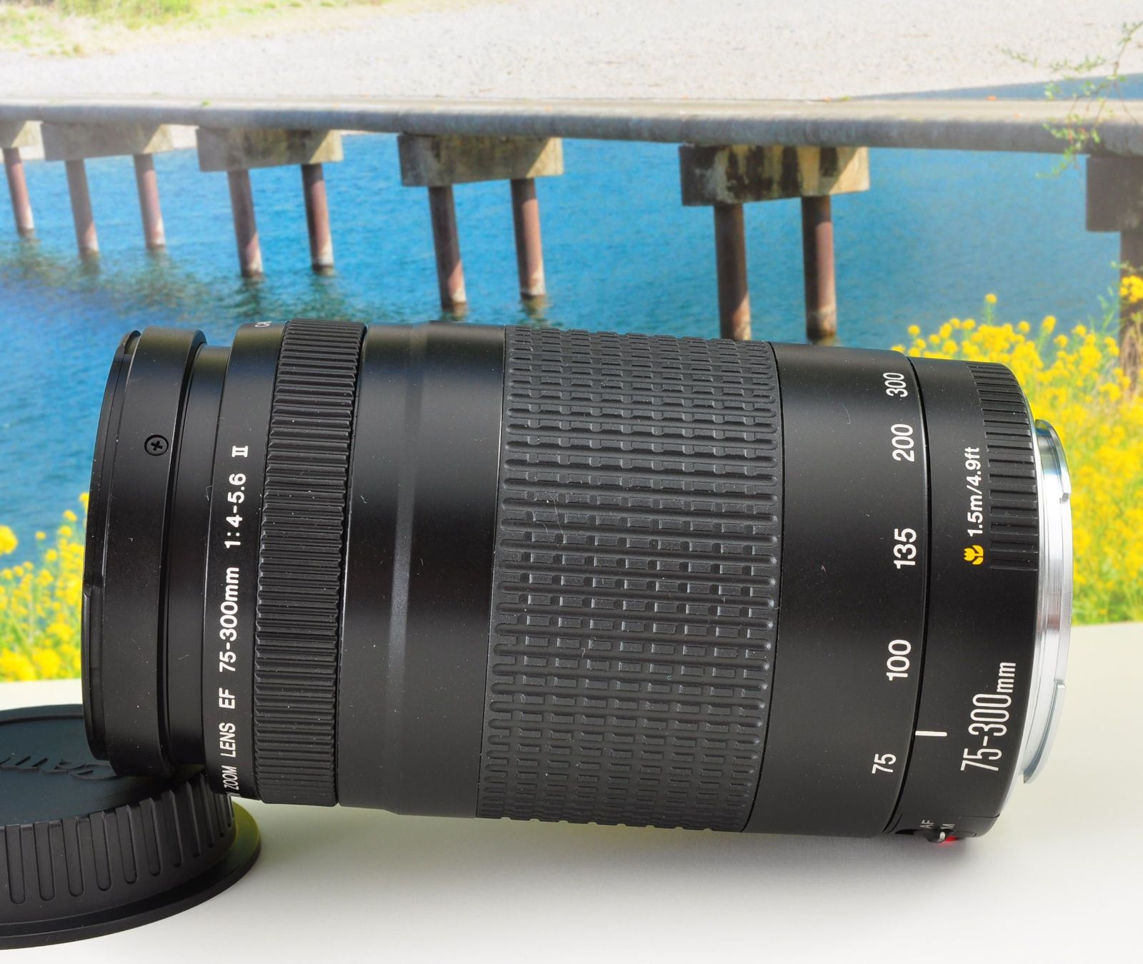 超望遠レンズ⭐Canon EF 75-300mm 運動会・スポーツ観戦・野鳥