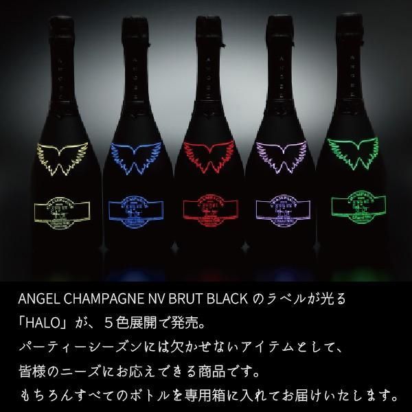 ANGEL（エンジェル）ヘイロー レッド 12.5％ 750ml N21L270092 ANGEL