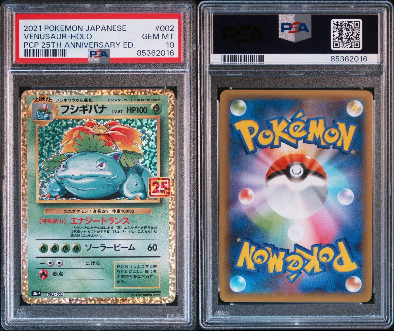 PSA10】リザードン フシギバナ カメックス 25th 3連番 3連番 PSA10